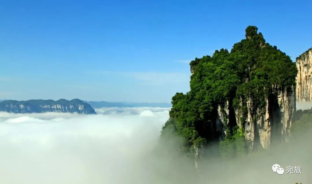 孕妇能喝恩施富硒茶吗（孕妇能喝富硒康吗）-硒宝网