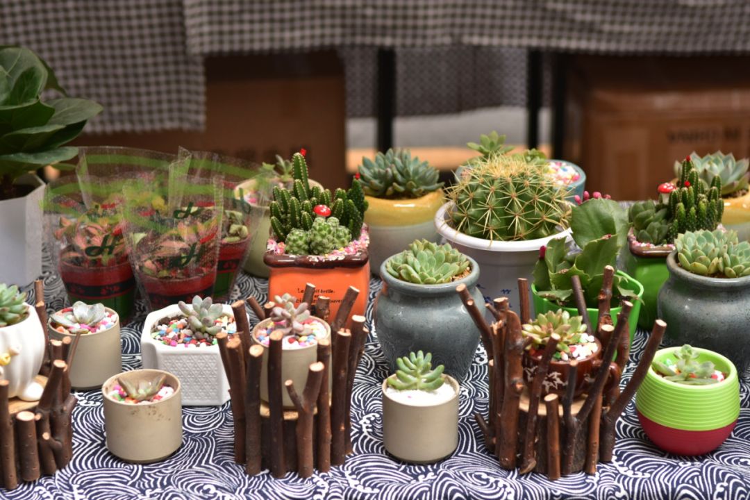 富硒茶的喝法饮品文案（饮茶发朋友圈说什么）-硒宝网