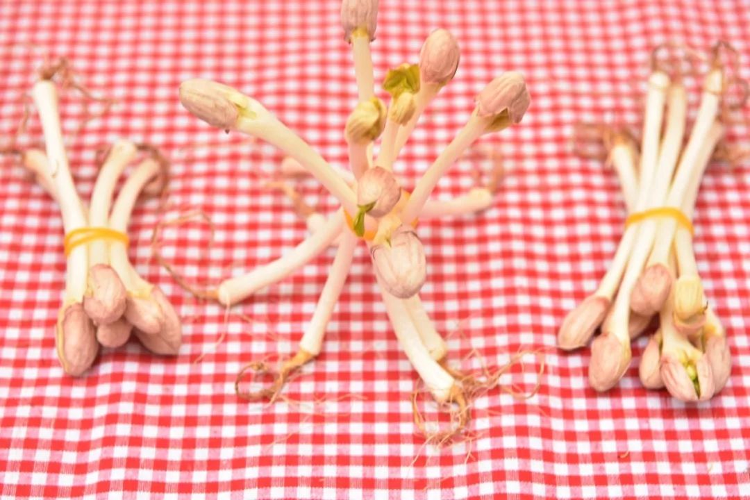 富硒茶的喝法饮品文案（饮茶发朋友圈说什么）-硒宝网