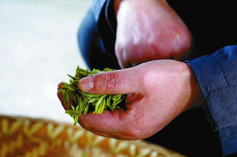 安康富硒茶和汉中仙毫（汉中仙毫2021新茶价格）-硒宝网