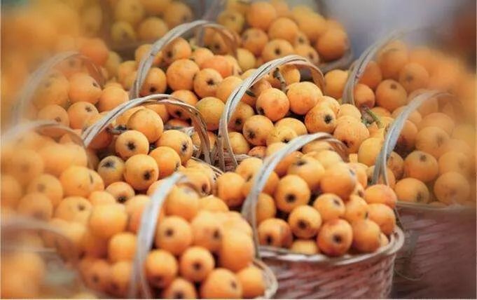 富硒诏安特产 八仙茶(富硒八仙茶价格)-硒宝网