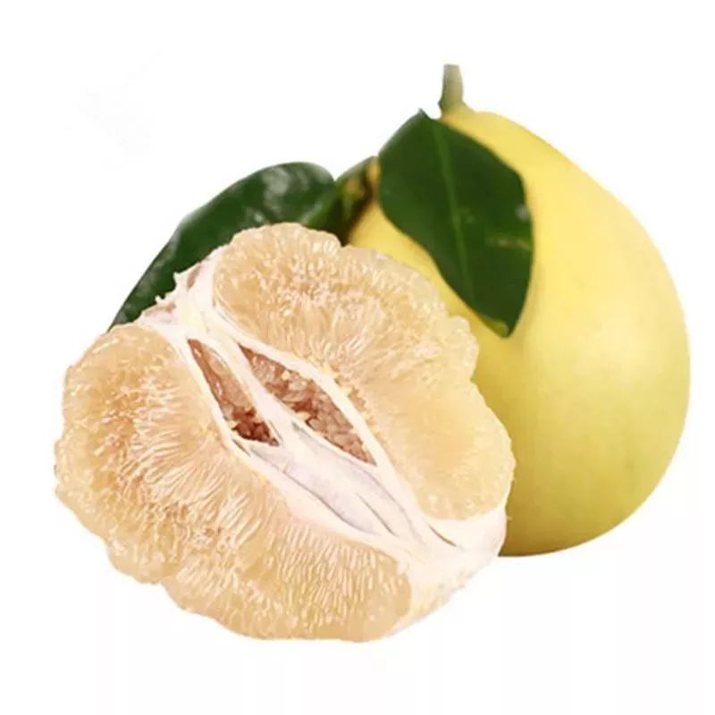 富硒诏安特产 八仙茶(富硒八仙茶价格)-硒宝网