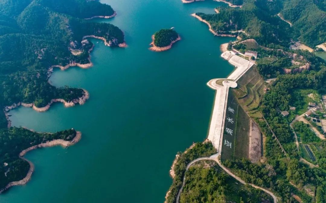 富硒诏安特产 八仙茶(诏安八仙茶多少钱一斤)-硒宝网