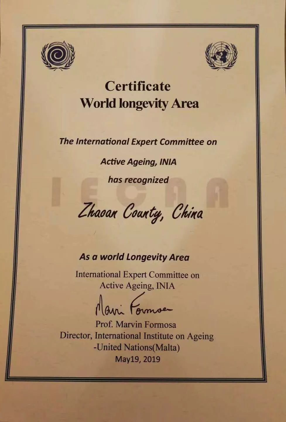 富硒诏安特产 八仙茶(诏安八仙茶多少钱一斤)-硒宝网