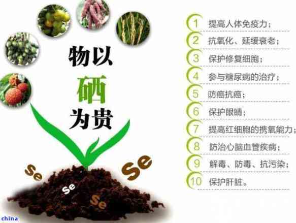 富硒藤茶不发酵的原因（富硒藤茶的骗局）-硒宝网