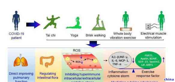 富硒藤茶不发酵的原因（富硒藤茶的骗局）-硒宝网