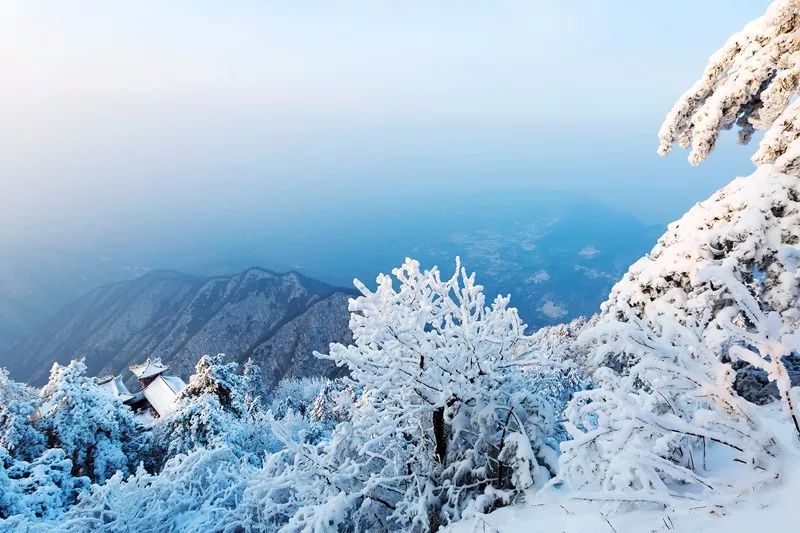 关于焕古富硒茶的诗句(富硒茶宣传语)-硒宝网