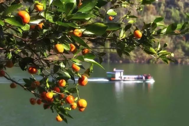 关于焕古富硒茶的诗句(富硒茶宣传语)-硒宝网