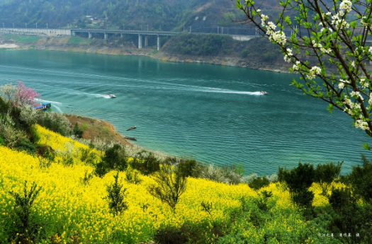 富硒茶的价值是什么呢(茶价值富硒是什么东西)-硒宝网