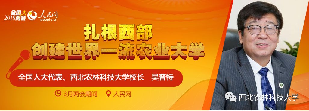 汉中茶叶富硒茶怎么样（汉中高山富硒茶多少钱一斤）-硒宝网