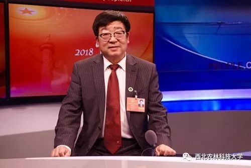 汉中茶叶富硒茶怎么样（汉中高山富硒茶多少钱一斤）-硒宝网