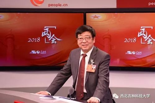 汉中茶叶富硒茶怎么样（汉中高山富硒茶多少钱一斤）-硒宝网