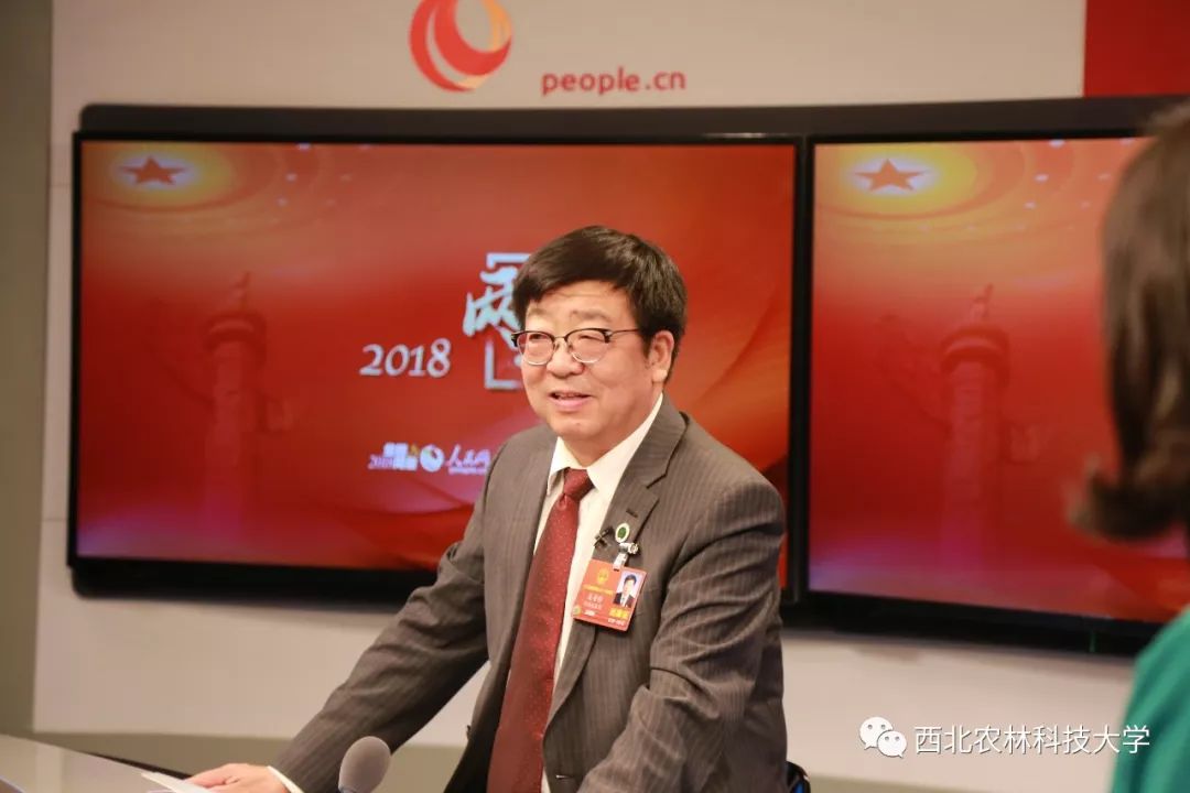 汉中茶叶富硒茶怎么样（汉中高山富硒茶多少钱一斤）-硒宝网