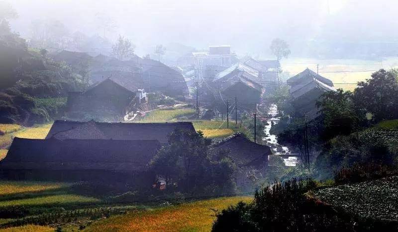 富硒黑茶对血糖的影响(血糖黑茶富硒影响尿酸吗)-硒宝网