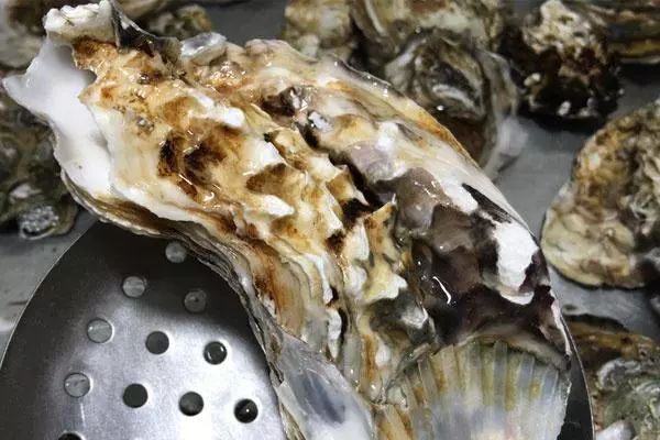 什么可以补锌（补锌可以提高免疫力吗）-硒宝网