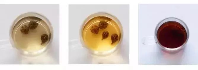 富硒茶防脱发吗怎么喝(脱发喝茶防富硒有用吗)-硒宝网