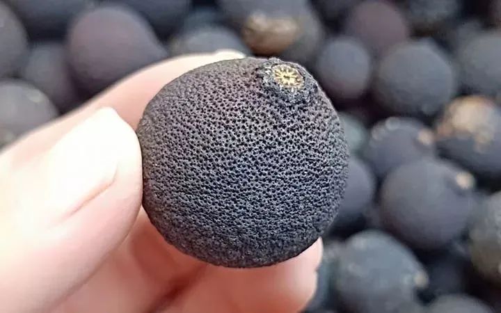 富硒茶防脱发吗怎么喝(脱发喝茶防富硒有用吗)-硒宝网