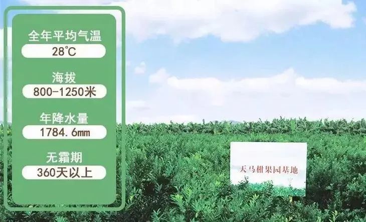 富硒茶防脱发吗怎么喝(脱发喝茶防富硒有用吗)-硒宝网