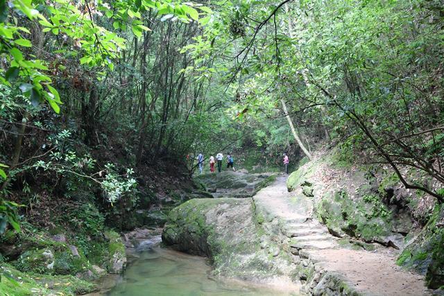 安徽石台富硒茶怎么样（安徽石台硒茶怎么样）-硒宝网