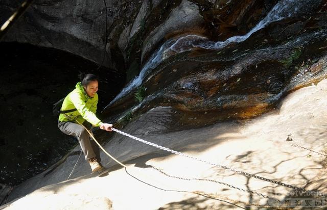 安徽石台富硒茶怎么样（安徽石台硒茶怎么样）-硒宝网
