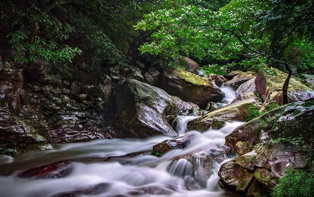 安徽石台富硒茶怎么样（安徽石台硒茶怎么样）-硒宝网