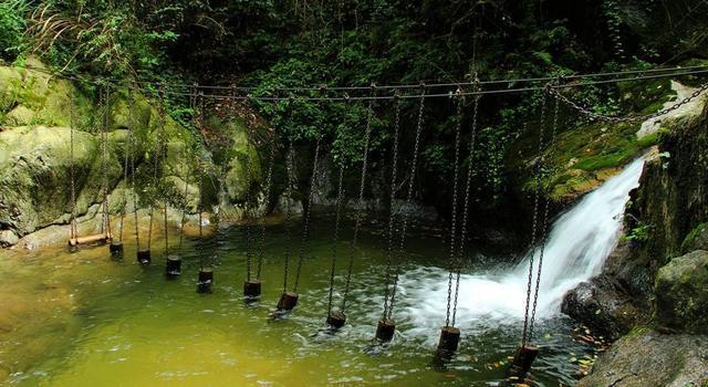 安徽石台富硒茶怎么样（安徽石台硒茶怎么样）-硒宝网