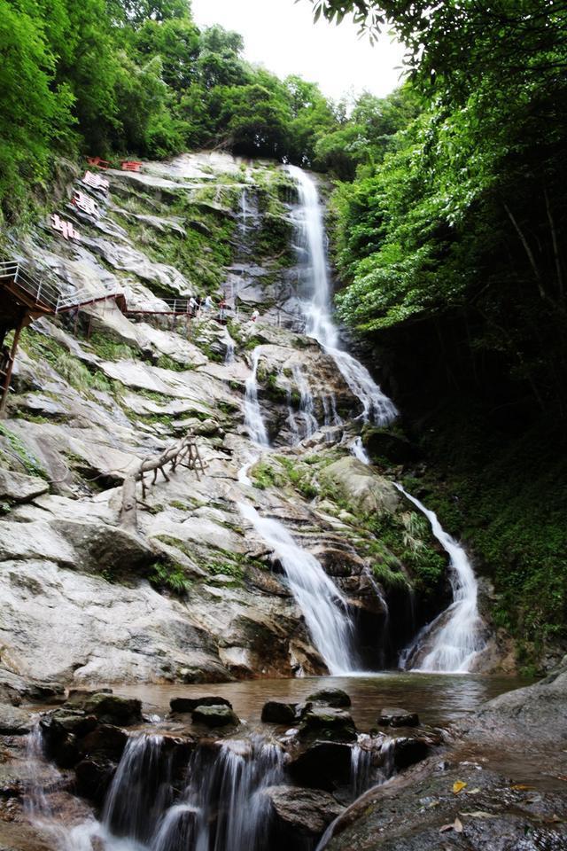 安徽石台富硒茶怎么样（安徽石台硒茶怎么样）-硒宝网
