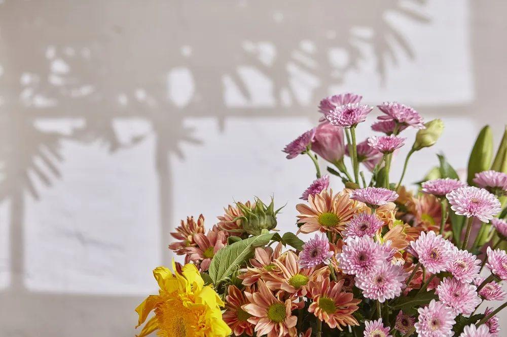 青年人补钙哪个效果好（青年补钙十大牌子）-硒宝网