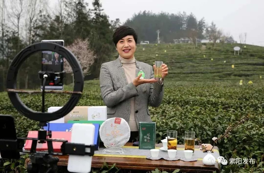 一千一斤的紫阳富硒茶(紫阳富硒茶文化)-硒宝网