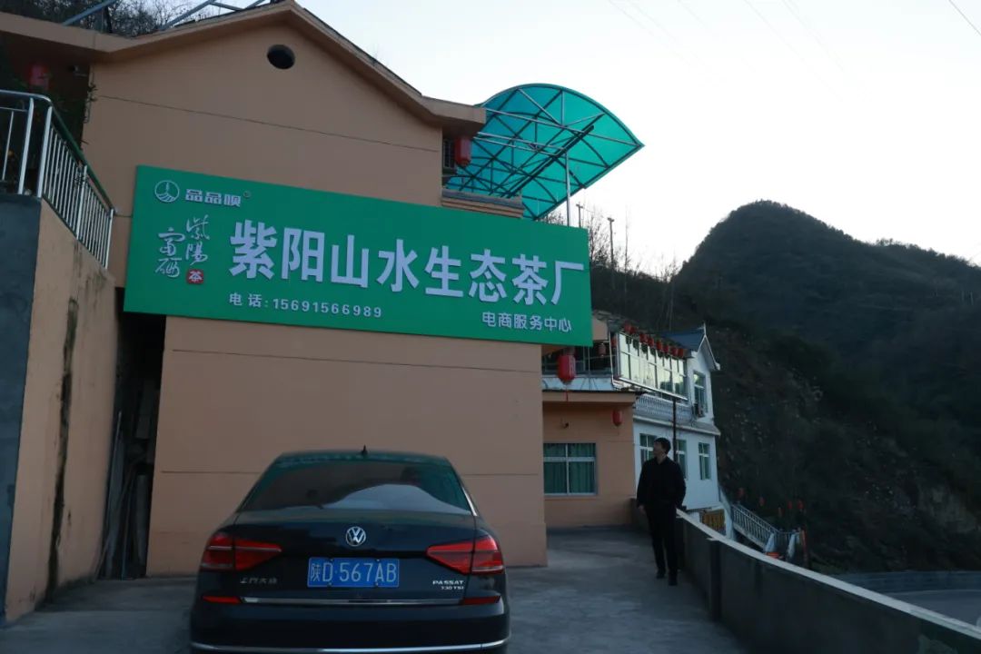 一千一斤的紫阳富硒茶(紫阳富硒茶叶)-硒宝网