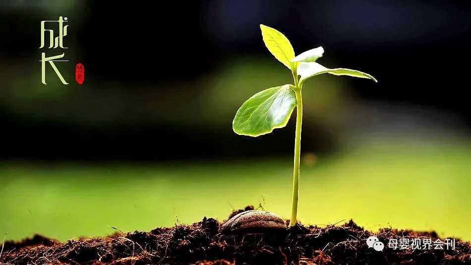 补钙最佳季节(季节补钙最好)-硒宝网