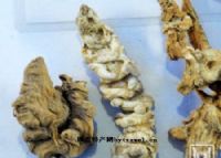 土家族恩施富硒茶抗癌（恩施富硒茶口感如何）-硒宝网