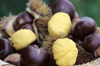 土家族恩施富硒茶抗癌（恩施富硒茶口感如何）-硒宝网