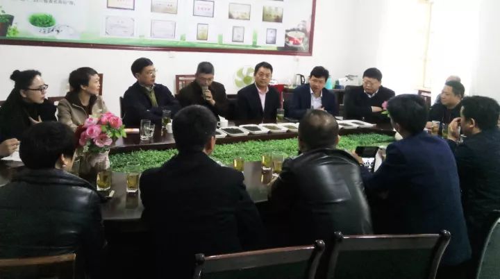 富硒茶就是巴山雀舌吗(巴山雀舌富硒绿茶价格)-硒宝网