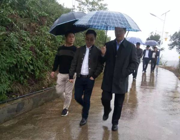 富硒茶就是巴山雀舌吗(巴山雀舌富硒绿茶价格)-硒宝网