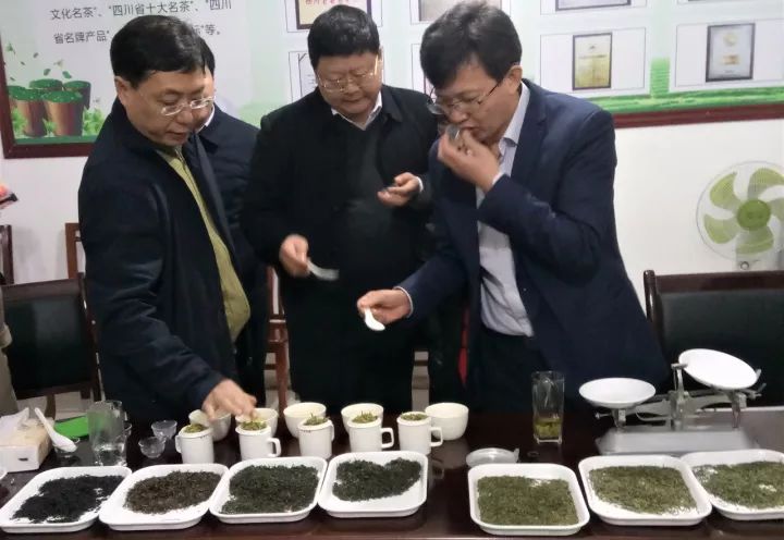 富硒茶就是巴山雀舌吗(巴山雀舌富硒绿茶价格)-硒宝网