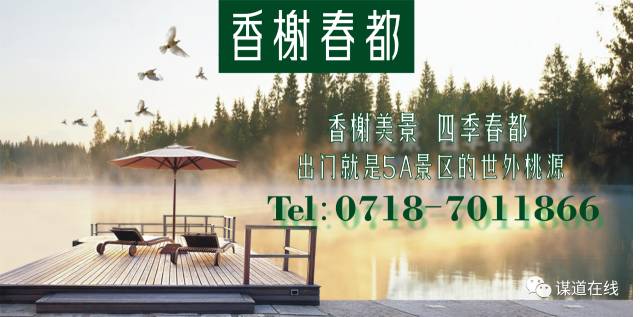 富硒藤茶哪个品牌的好(富硒藤茶什么牌子的好)-硒宝网