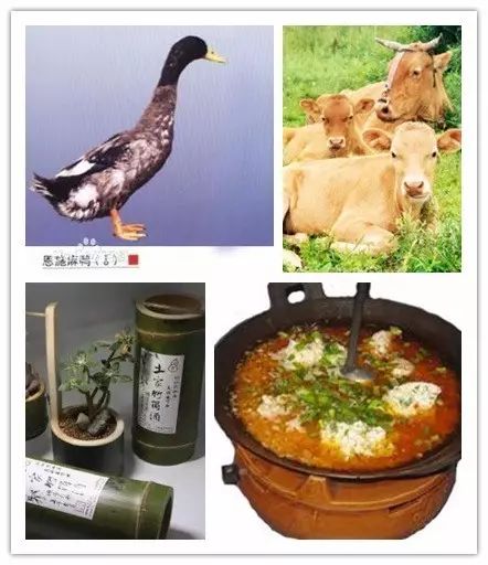 富硒藤茶哪个品牌的好(富硒藤茶什么牌子的好)-硒宝网