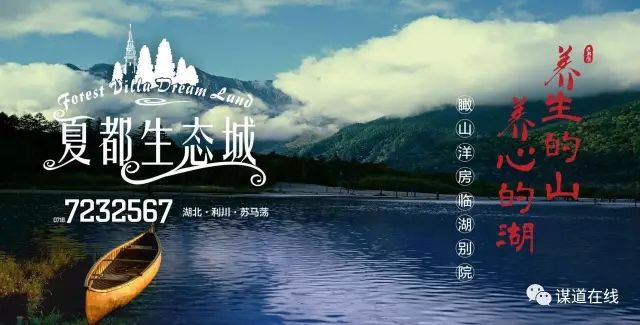 富硒藤茶哪个品牌的好(富硒藤茶什么牌子的好)-硒宝网