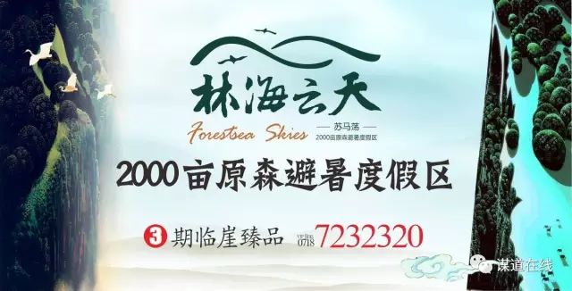 富硒藤茶哪个品牌的好(富硒藤茶什么牌子的好)-硒宝网