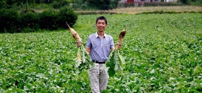 富硒藤茶哪个品牌的好(富硒藤茶什么牌子的好)-硒宝网