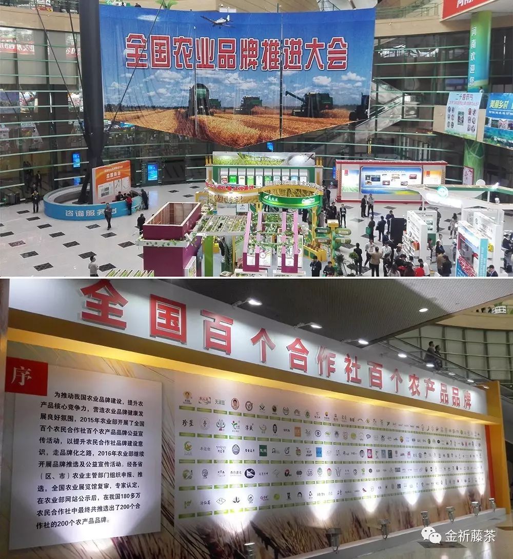 富硒藤茶为啥是白色的(白色富硒藤茶是什么味道)-硒宝网