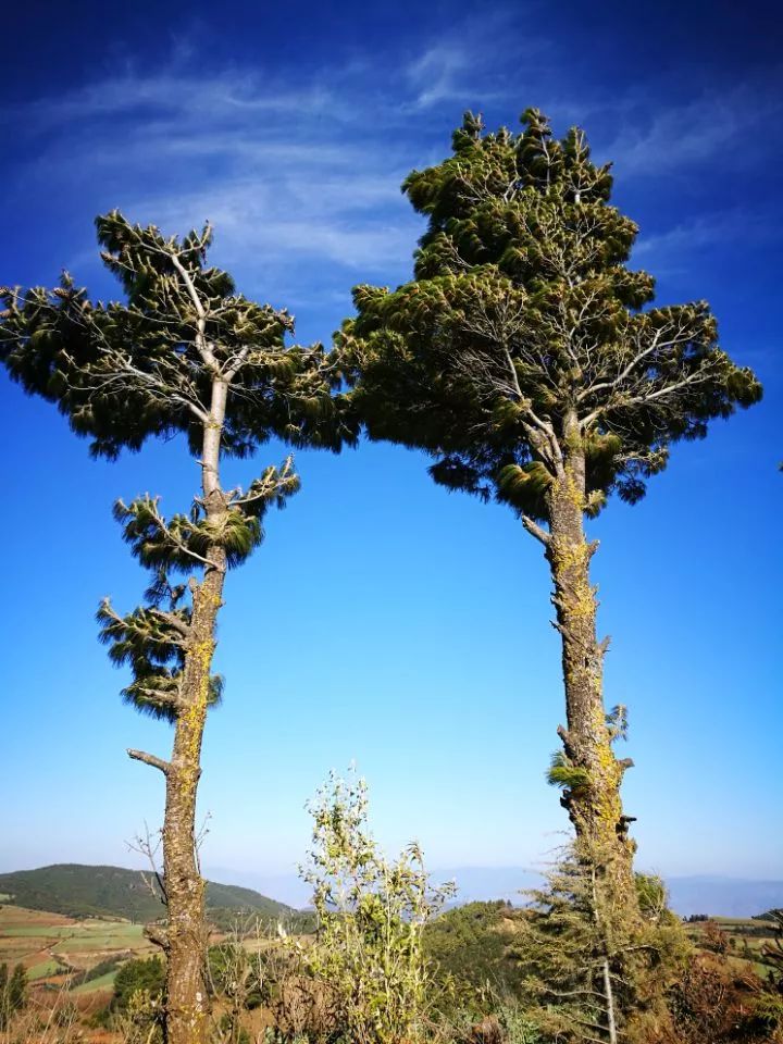抽筋补钙吃什么钙片好(抽筋吃钙片不管用怎么办)-硒宝网