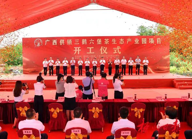 高质量发展富硒茶产业(茶产业质量富硒发展高的原因)-硒宝网