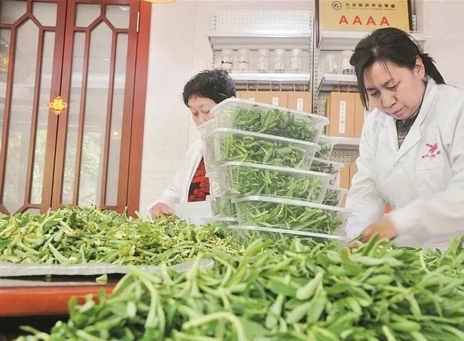 富硒高钙养心茶哪家好（钙茶的作用与功效）-硒宝网