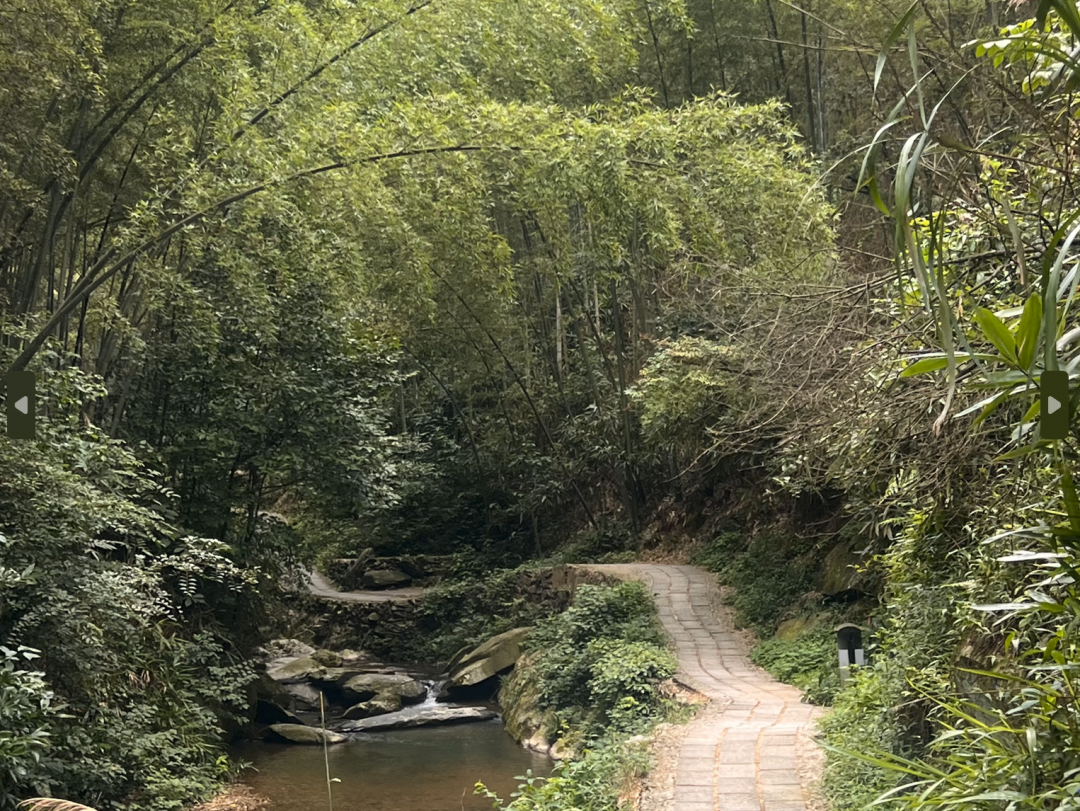 富硒茶计划书团队介绍(富硒茶营销策划方案)-硒宝网