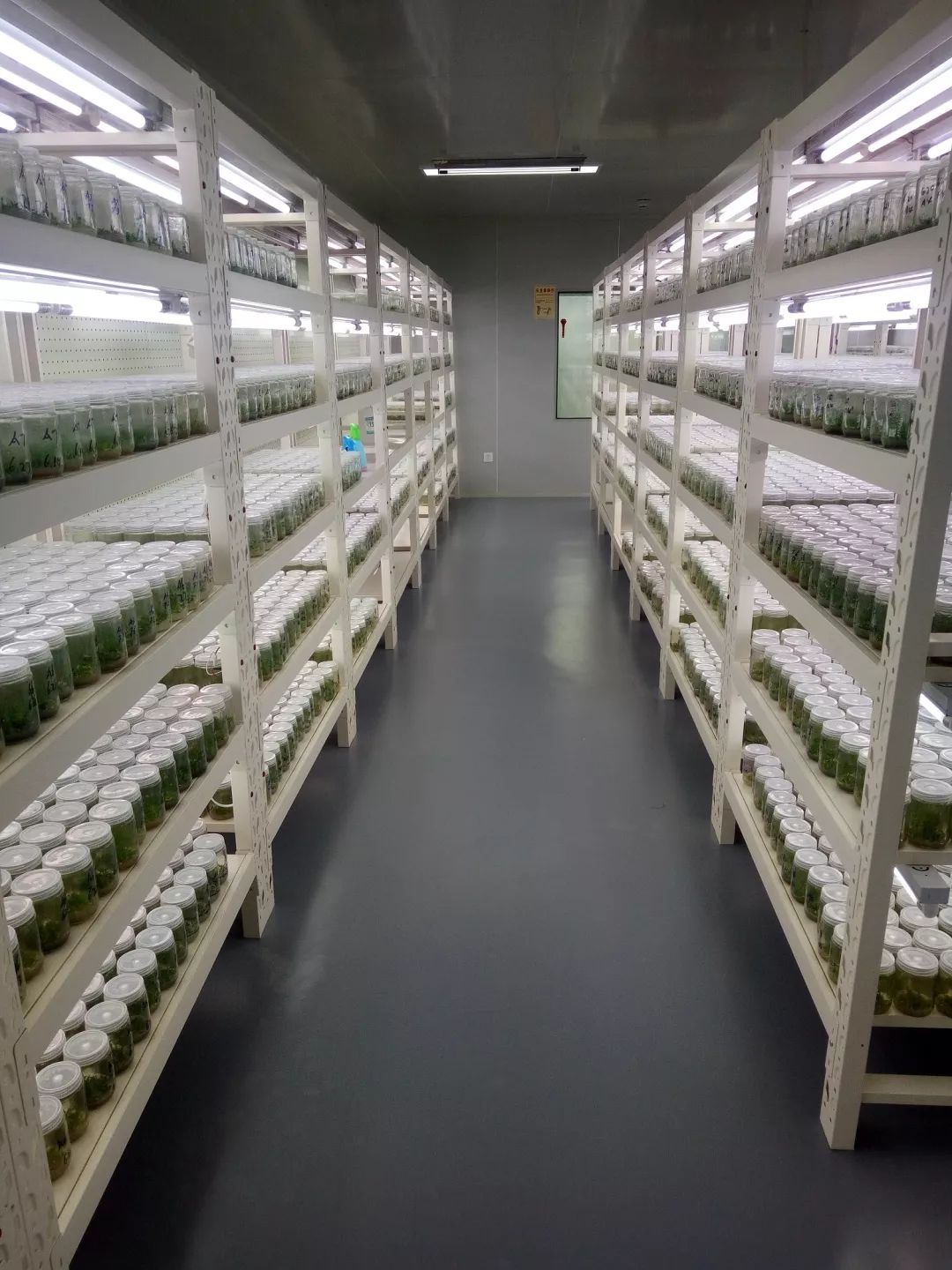 富硒高钙养心茶哪家好（高钙富硒奶粉好吗）-硒宝网