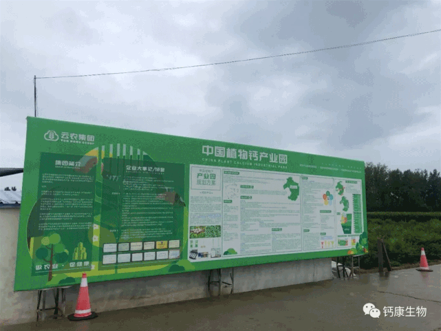 富硒高钙养心茶哪家好（高钙富硒奶粉好吗）-硒宝网