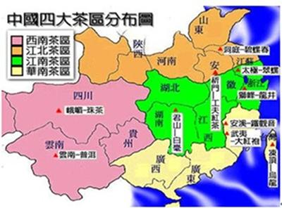 富硒红茶和黄茶的区别（红茶好还是黄茶好）-硒宝网