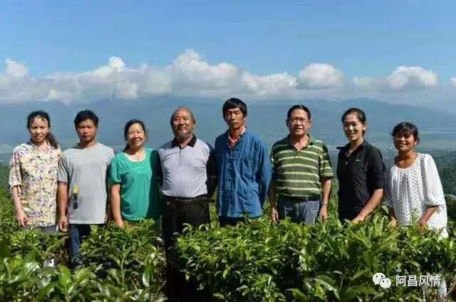 富硒高钙养心茶哪家好（高钙富硒功效）-硒宝网